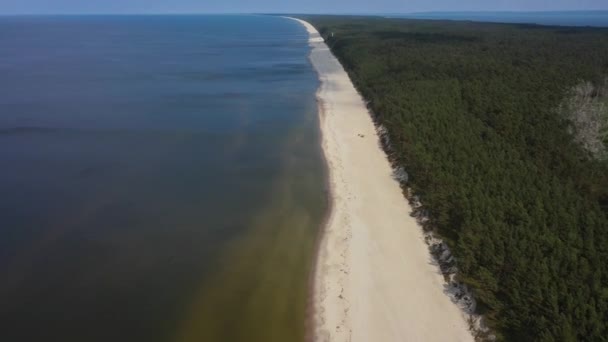 Vista Aérea Vistula Spit Verão — Vídeo de Stock