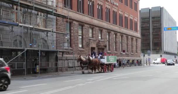 Kopenhagen Denemarken Juli 2019 Reclame Paard Wagen Met Carlsberg Bier — Stockvideo
