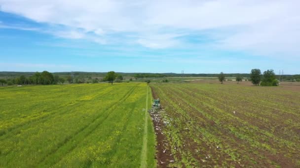 Aerial Kombajn Ciągników Polu Rolniczym Wiosną — Wideo stockowe