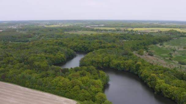 Aerial Lake Summer Time — стоковое видео