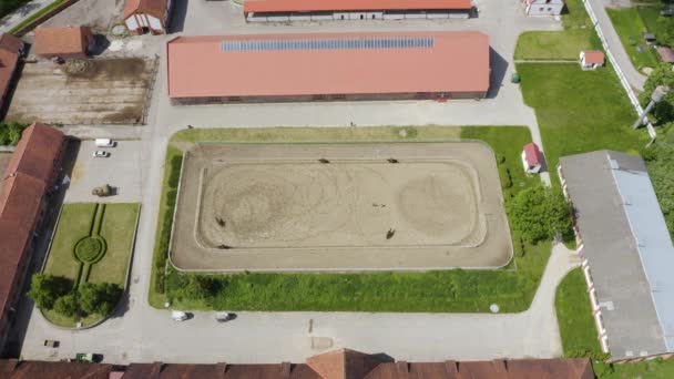 Vista Aérea Granja Georgenburg Stud Chernyahovsk Rusia — Vídeos de Stock