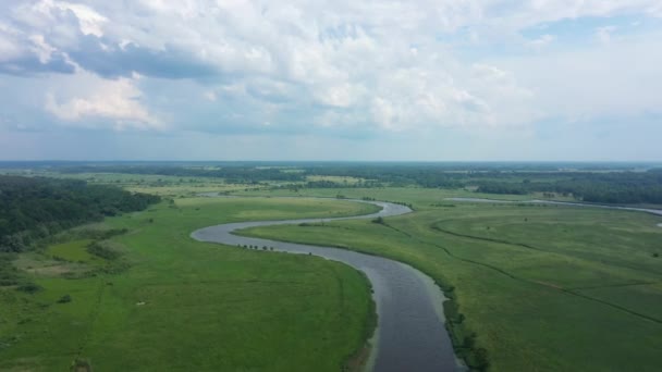 Αεροφωτογραφία Του Ποταμού Στην Κοιλάδα Καλοκαίρι — Αρχείο Βίντεο