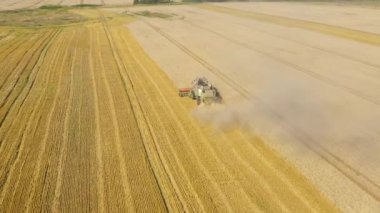 Hava: Buğday tarlasında hasat makinesini yazın birleştirin