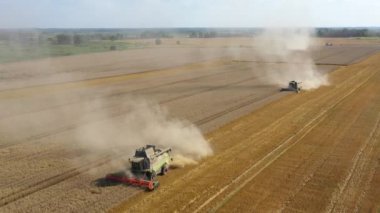 Hava: Buğday tarlasında hasat makinesini yazın birleştirin