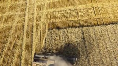 Hava: Buğday tarlasında hasat makinesini yazın birleştirin