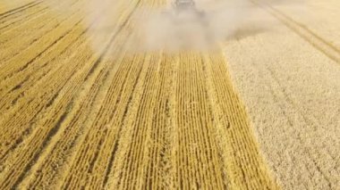 Hava: Buğday tarlasında hasat makinesini yazın birleştirin