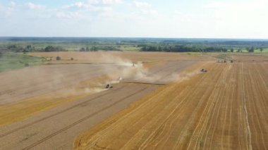 Hava: Buğday tarlasında hasat makinesini yazın birleştirin