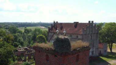 Yaz mevsiminde yuvadaki leylekler, insansız hava aracı manzarası.