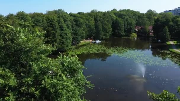 Widok Lotu Ptaka Park Miejscowości Uzdrowiskowej Zelenogradsk Rosja — Wideo stockowe