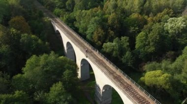 Rusya 'nın Rominta ormanındaki eski Prusya viyadük manzarası.