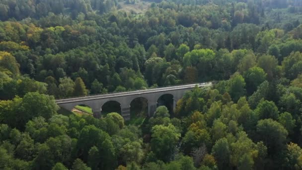 Letecký Pohled Starý Pruský Viadukt Lese Rominta Rusko — Stock video