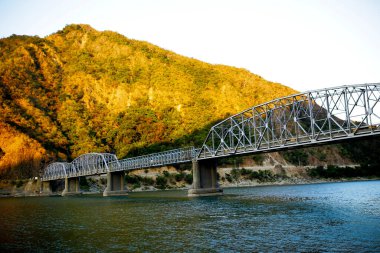 Adanın parlak bahar manzarası. Sabahları çekilen resimler. Doğa konseptinin güzelliği.