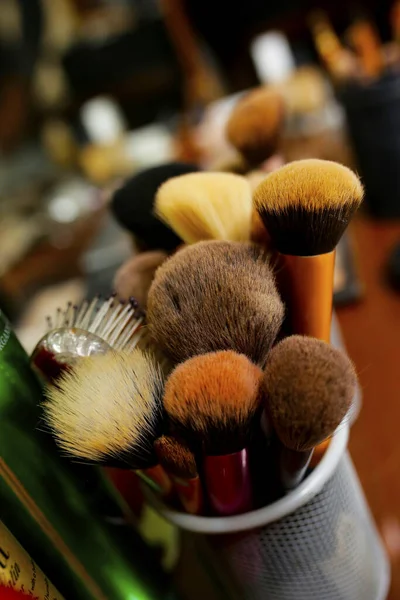 a set of makeup stylist\'s brushes. makeup brushes in a red leather case. art brushes close up