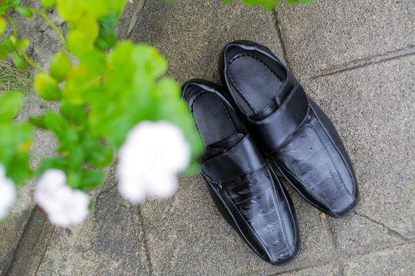 男鞋收集 男式时尚皮鞋平铺 — 图库照片