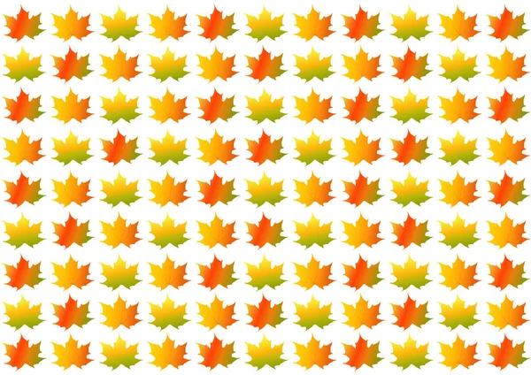 Hojas coloridas de otoño / otoño sobre fondo blanco — Foto de Stock