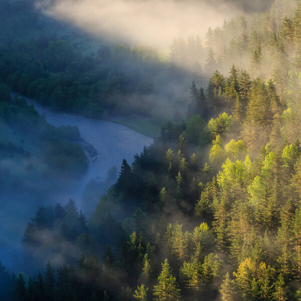 Forest landscape, sunbeams breaking through the fog, morning mist on the river.