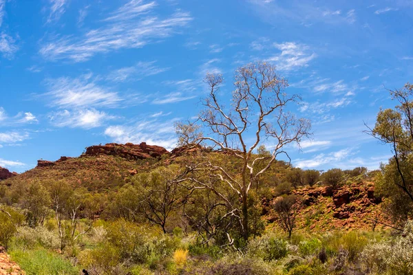 Einsame Berglandschaft Kings Canyon Northern Territory Watarrka Nationalpark Australien — Stockfoto