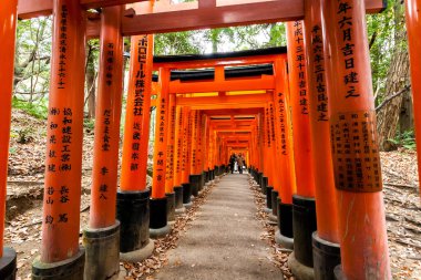 Kyoto, Japonya - 27 Aralık 2009: Fushimi Inari Taisha Tapınağı 'ndaki turuncu tahta torii tüneli. Turistler için en ünlü yerlerden biridir..