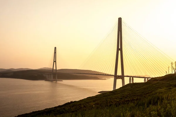 Cable-stayed bridge \