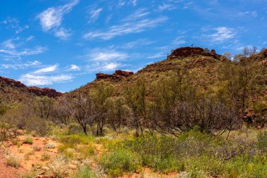 Krallar Kanyonu, Kuzey Bölgesi, Watarrka Ulusal Parkı, Avustralya