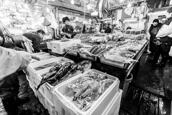 Tokio Japan Januari 2010 Vroege Ochtend Tsukiji Vismarkt Eerste Klanten — Stockfoto