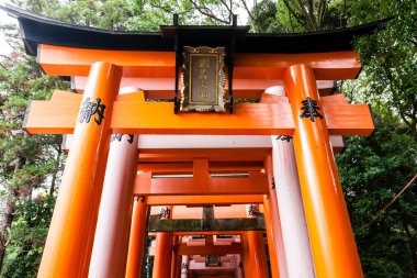 Kyoto, Japonya - 27 Aralık 2009: Fushimi Inari Taisha Tapınağı 'nda turuncu ahşap torii parçası. Turistler için en ünlü yerlerden biridir..