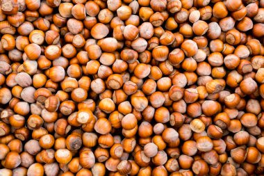 Çiğ taze organik fındık. Fındıklı. Çiftçi pazarında sağlıklı yiyecekler