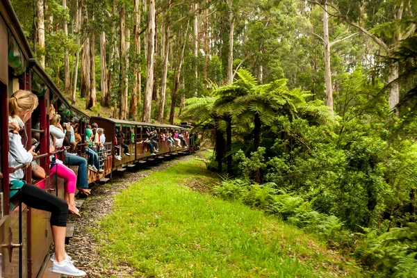 Melbourne Australia Enero 2009 Puffing Billy Steam Train Passengers Ferrocarril — Foto de Stock