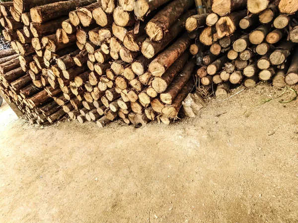 Wooden logs in forest