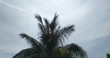 Güzel serin hava, siyah bulutlar ve beyaz gökyüzü.