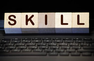 Beyaz üzerine izole edilmiş yapı taşlarıyla yapılmış SKILLS kelimesi