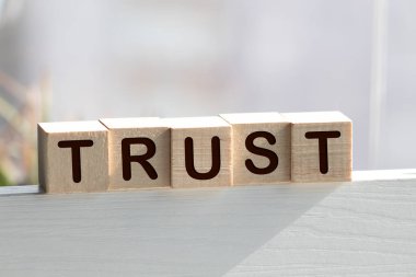 Tahta Bloklar: Güven ve meşguliyet kavramı