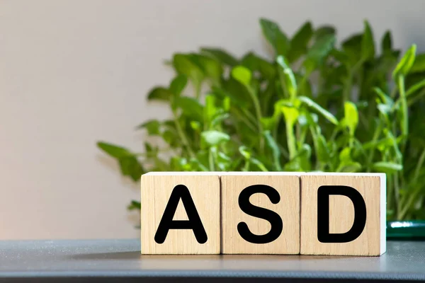 Autism Spektrumstörning Asd Horisontella Block Affärsidé — Stockfoto