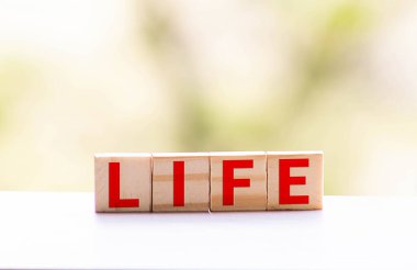 Tahta bloklar ve bulanık arkaplan üzerine hayat kelimesi.