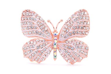 beyaz zemin üzerinde bir kelebek şeklinde broş