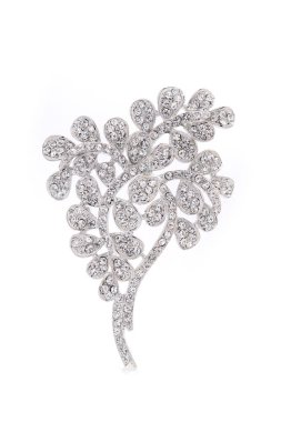 beyaz bir arka plan üzerinde broş fışkın