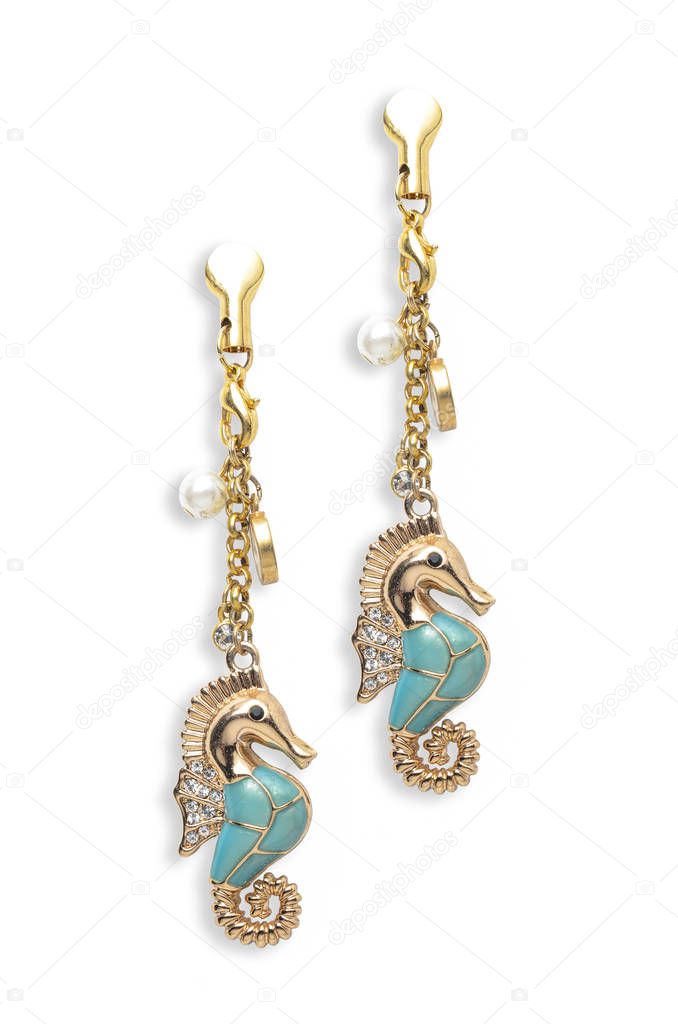 beautiful earrings on white background