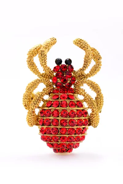 Golden Spider Brooch Rubies White Background — Stock Photo, Image