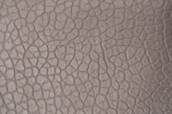 Design Texture Pelle Grigia — Foto Stock