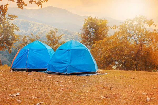 Family Resting Tent Nature Sunset Weekends — Stock Photo, Image