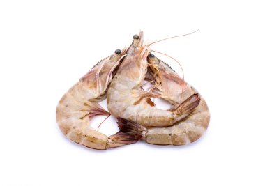 Beyaz arkaplanda taze karides