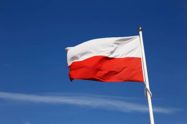 Mavi gökyüzü karşı Polonya bayrağı.