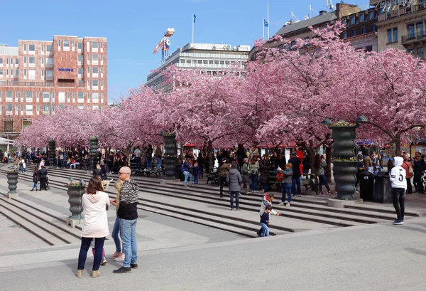 Parco Kungstradgarden durante la primavera — Foto Stock