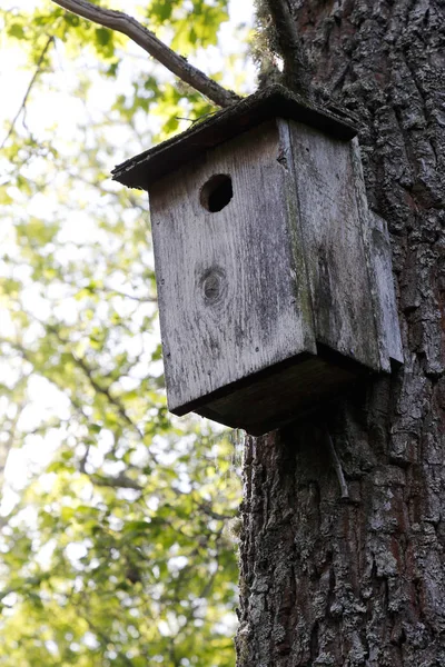 Nesting box — Stock Photo, Image