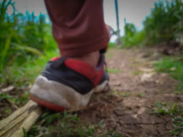 Running Sport Shoe Feet Cramped Dry Farm Land Blurred — Stock Photo, Image