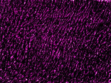 Noel 'i kutlamak için parlak pembe renkli kağıt süslemeli konfeti arka planı