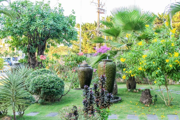 Flores Vietnam Phu Quoc Isla —  Fotos de Stock