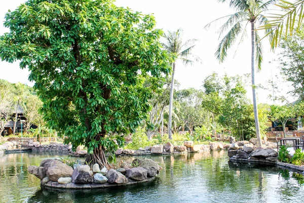 Jardín Vietnam Phu Quoc Isla —  Fotos de Stock