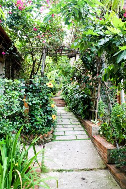 Çalılıklarda bir patika. Vietnam Phu Quoc Adası