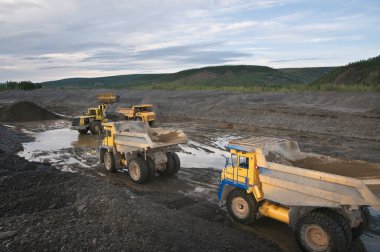 Dağlık bir ormanlık alanda kazı çalışmaları. Ön yükleyici çalışıyor.